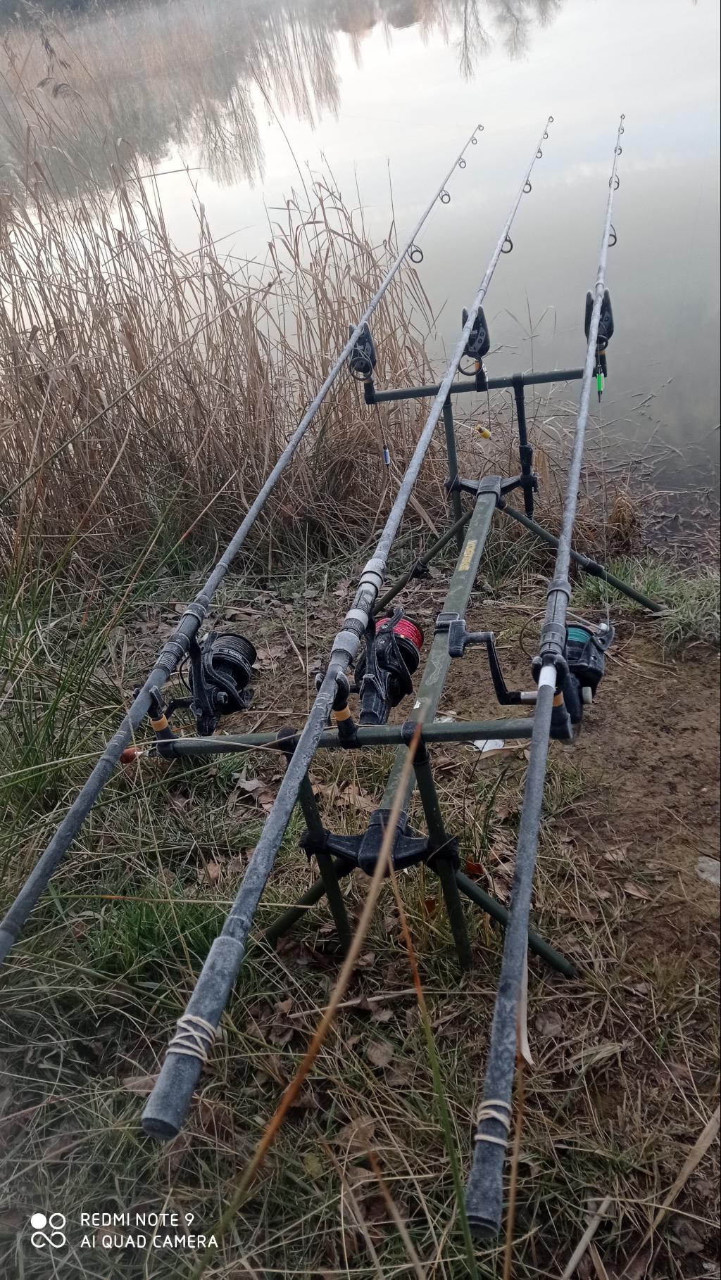 CARPFISHING BAJO CERO 