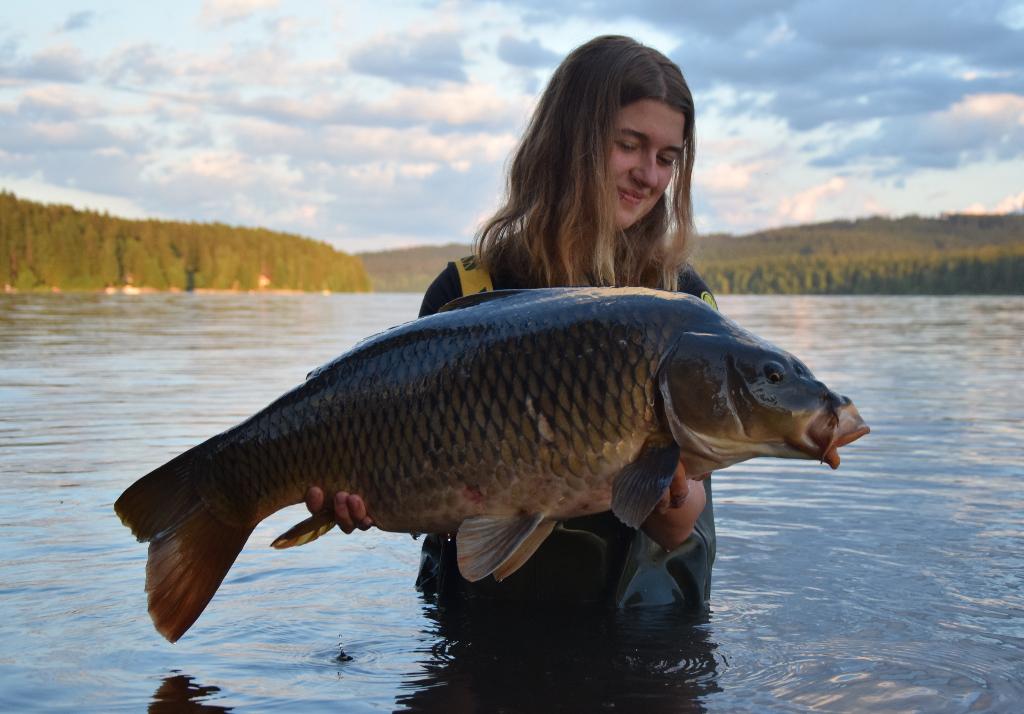 Úspěšné Lipno II. 