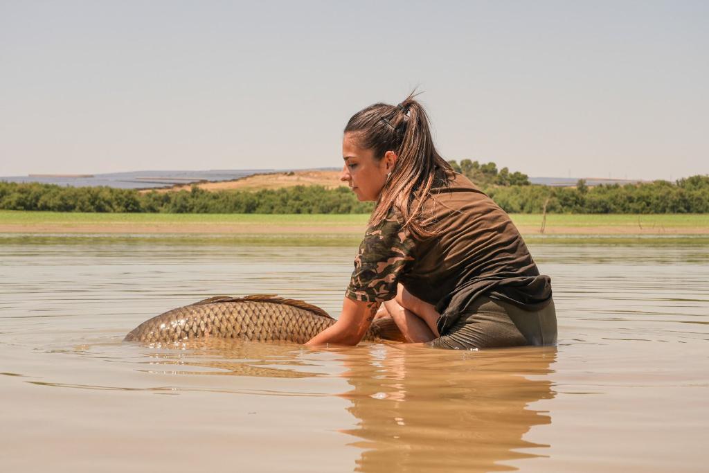 Río Ebro 