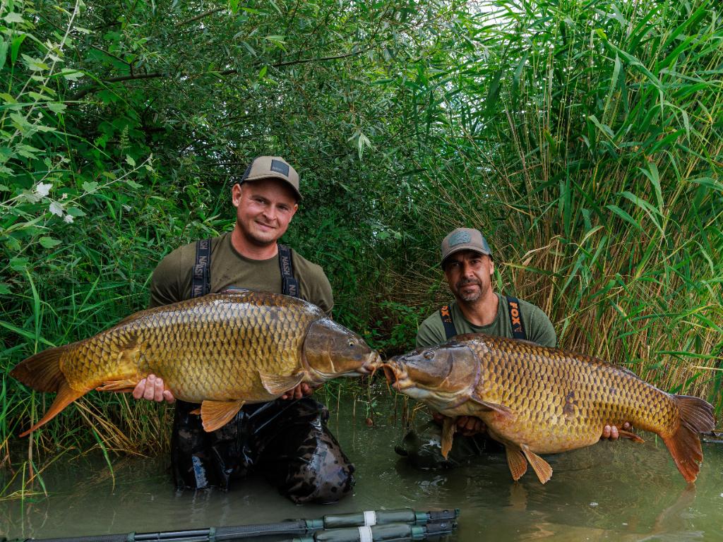 Raw Carp Cup 2024 - Dolný Bar 