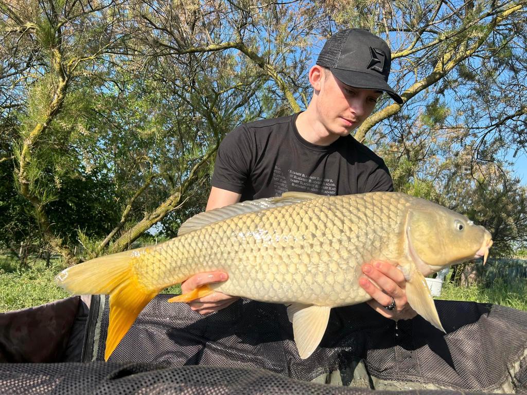 Csongi Tavak - Ahol a Light Feeder Felértékelődik 