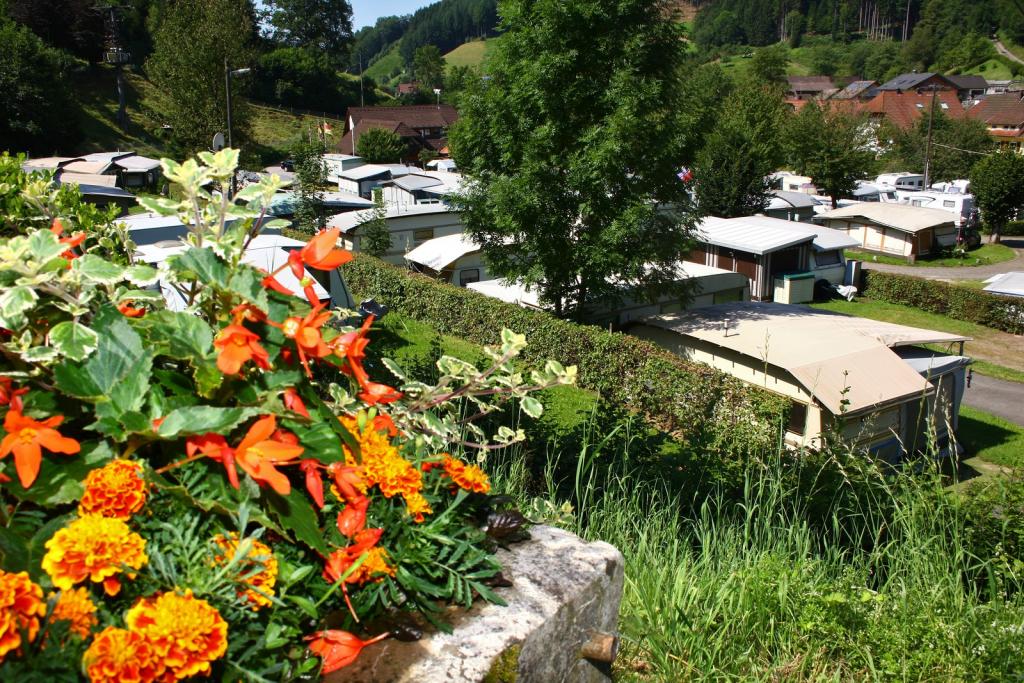 Schwarzwaldcamping Alisehof