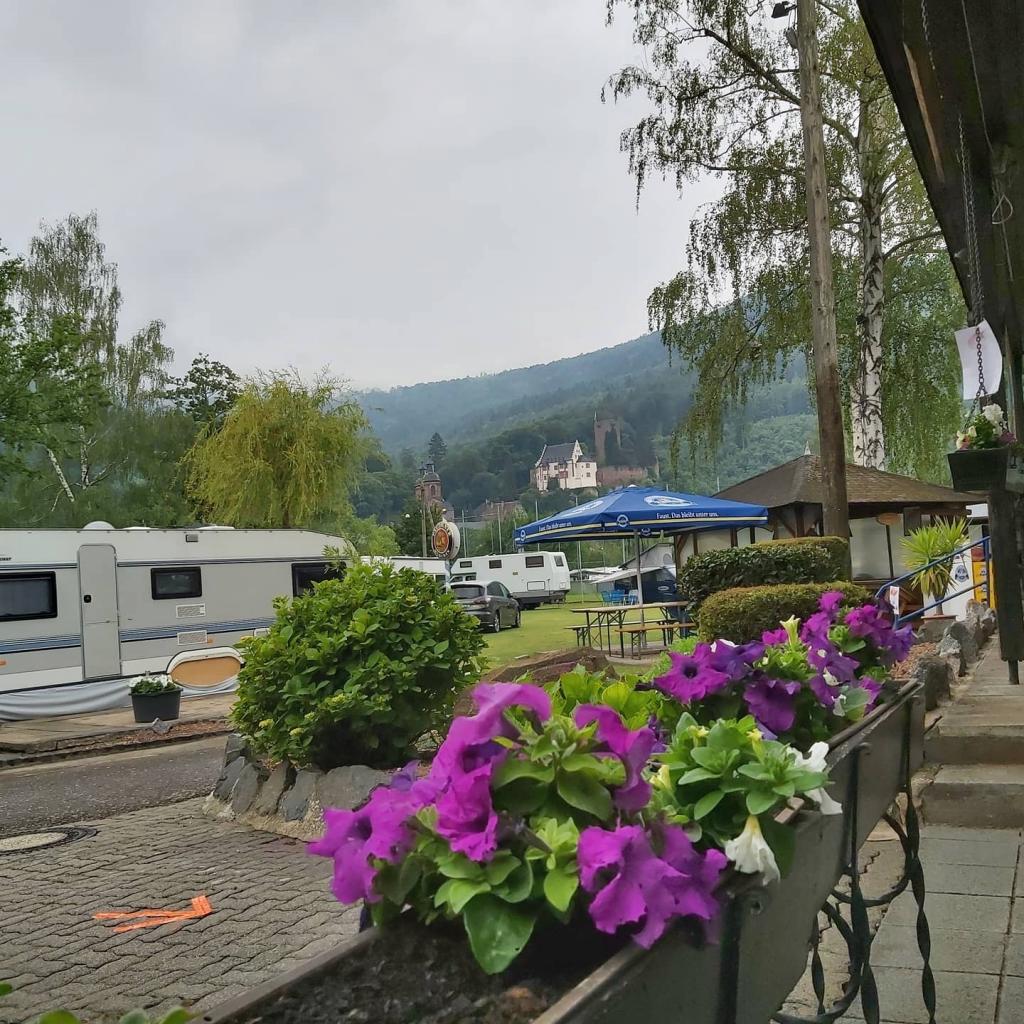 Campingplatz Mainwiese