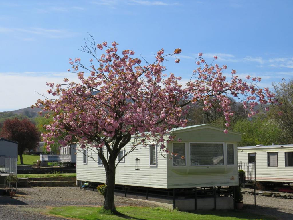 Llwyngwair Manor Holiday Park