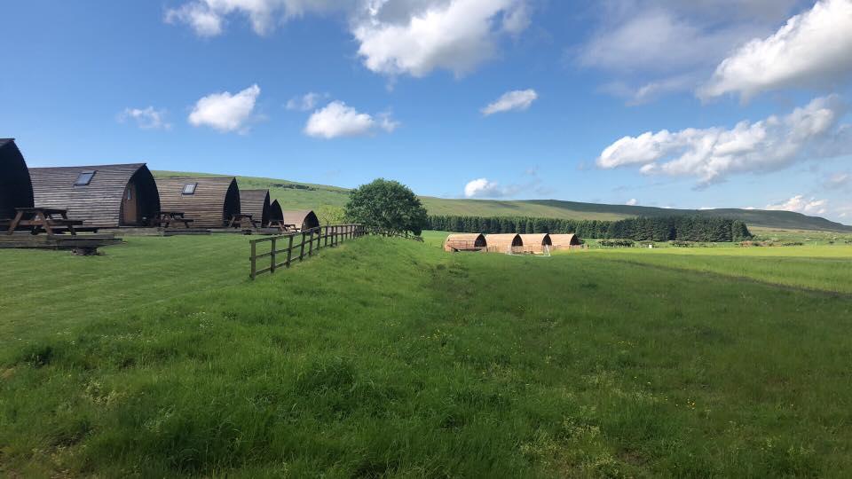 Hilly Cow Wigwams