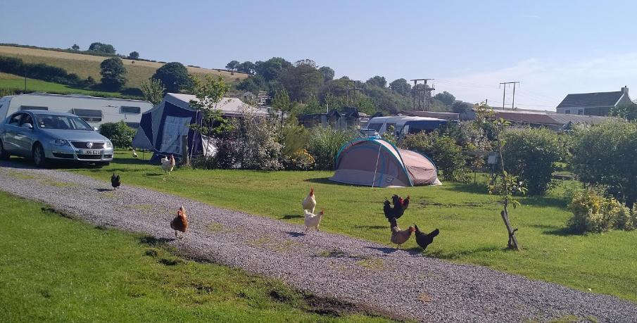 Brynhyfryd Campsite