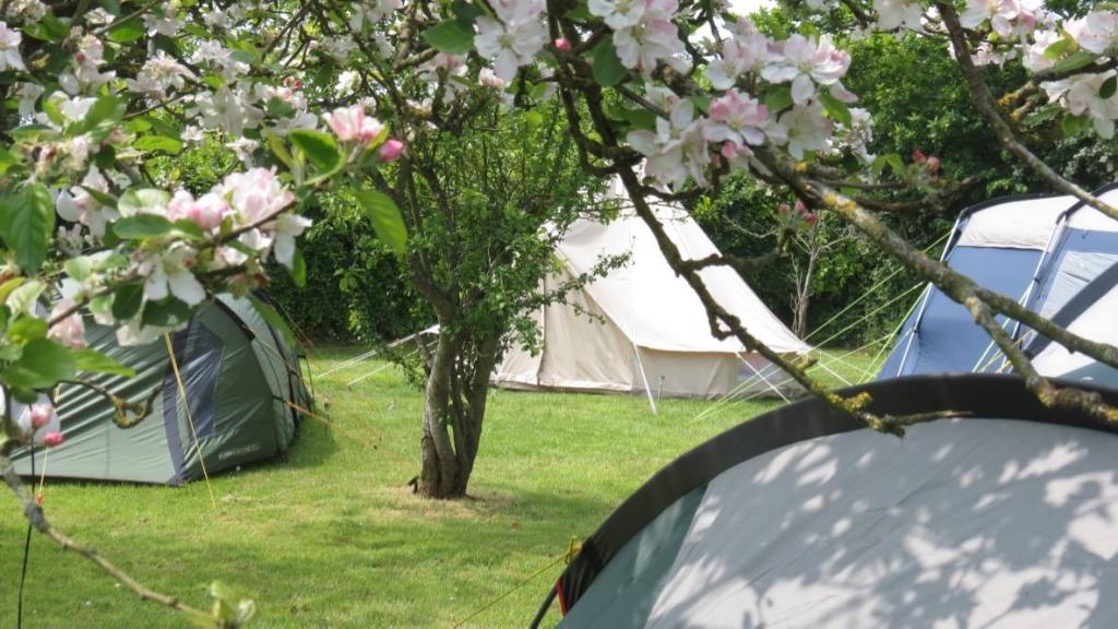 Exmouth Country Lodge And Prattshayes Campsite