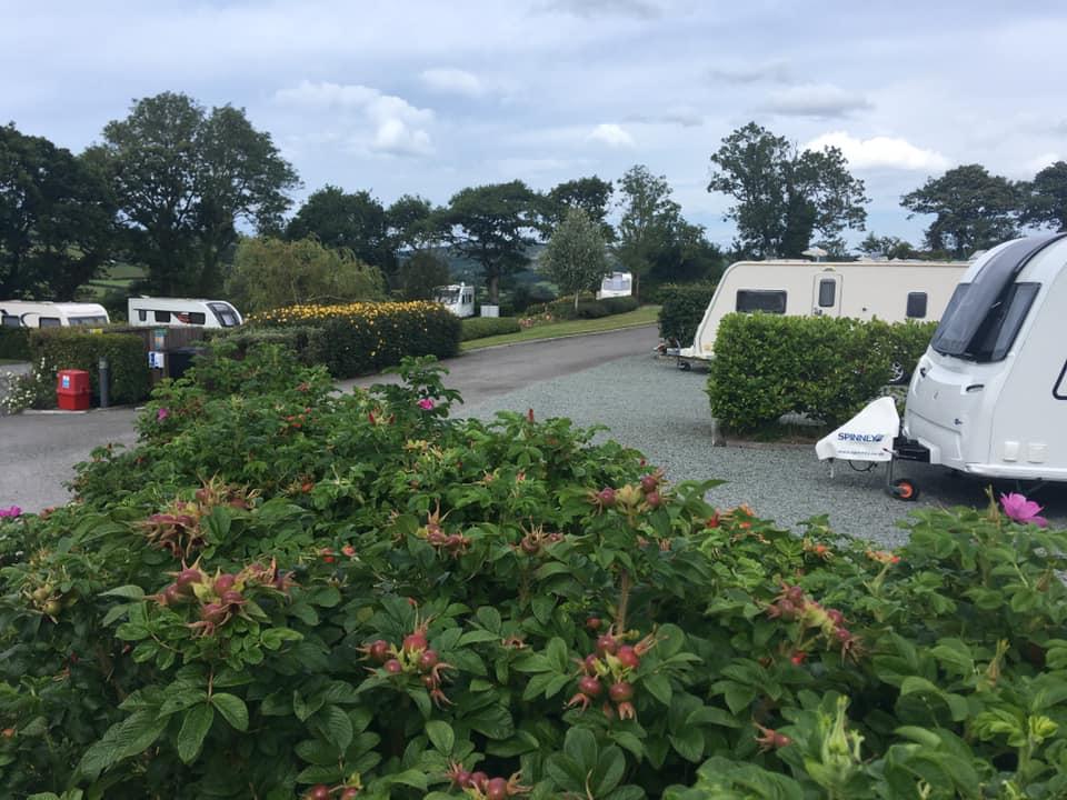 Plas Farm Caravan & Lodge Park