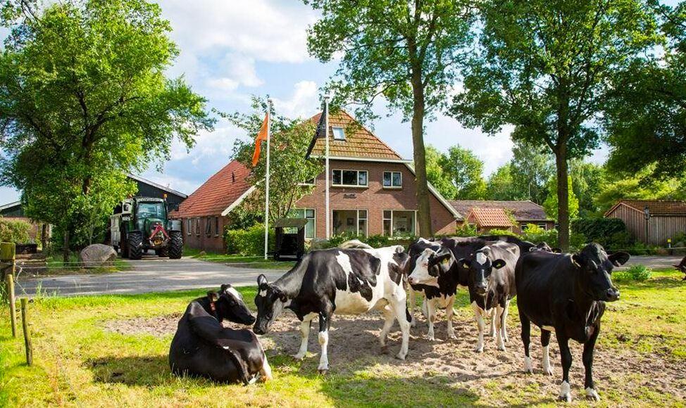 Recreatiepark de Bosrand Drenthe