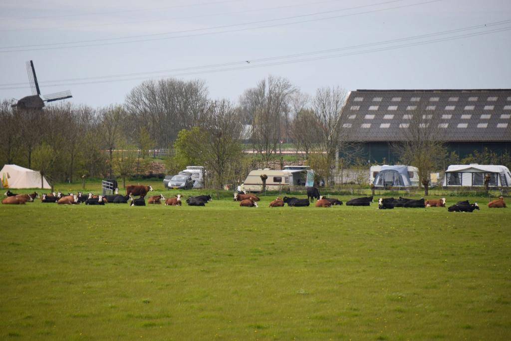 Natuurlijk Genoegen