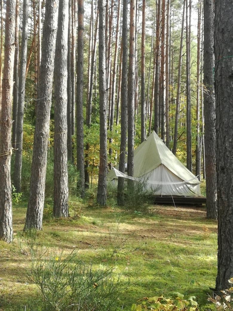 Stovykla: „Glamping Club”, Bučeliškė