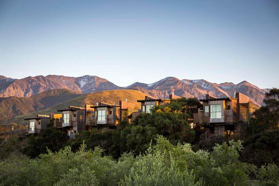 Hapuku Lodge + Tree Houses