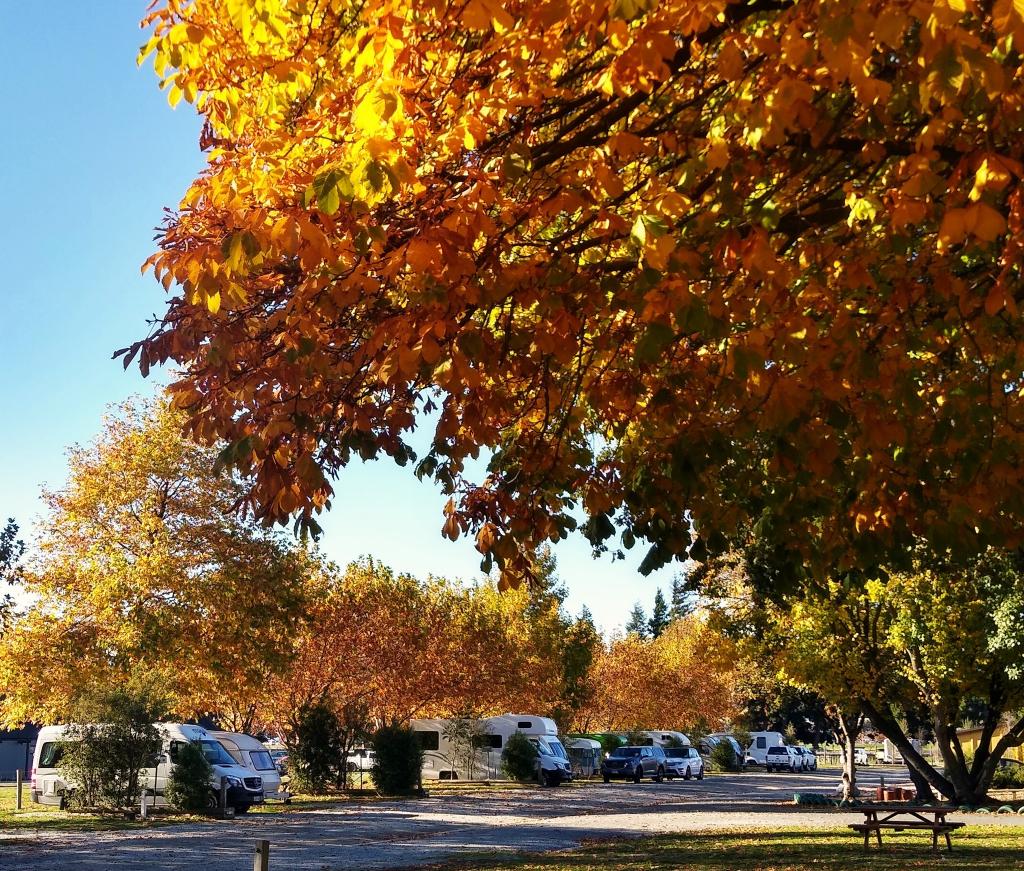 Wanaka Lakeview Holiday Park