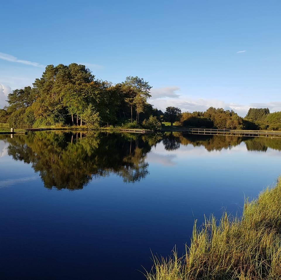 Lawfield Trout Fishery