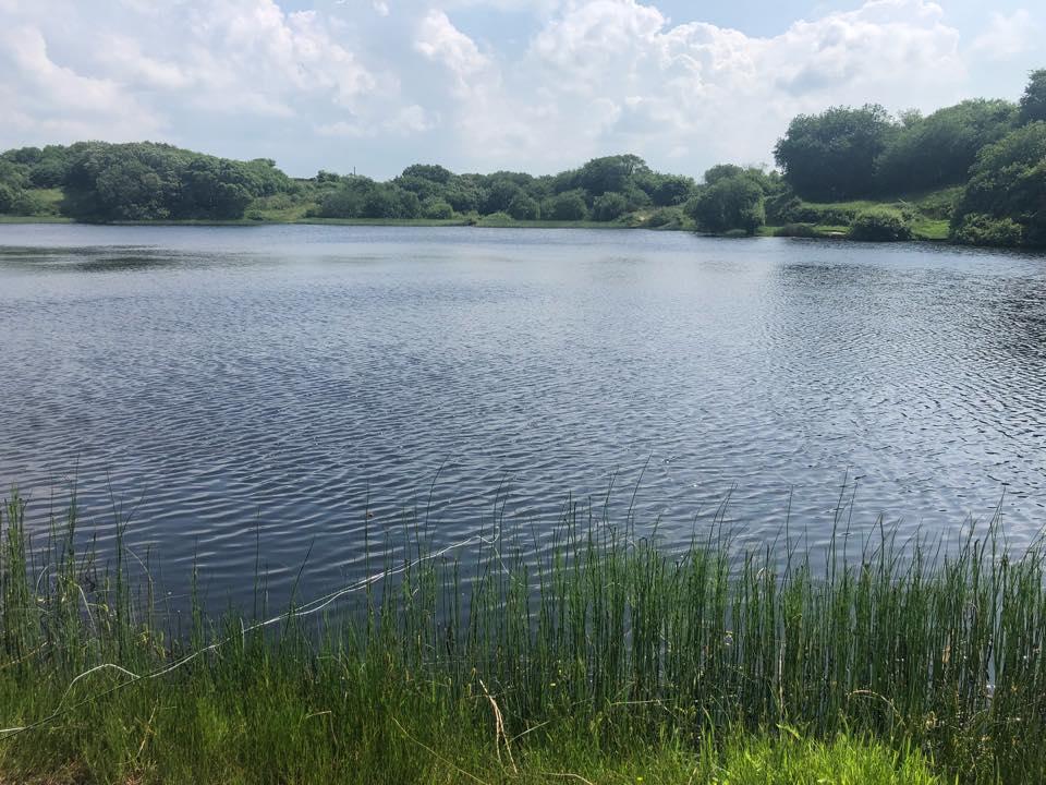 Temple Trout Fishery