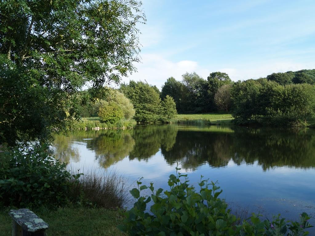 Duncton Mill Fishery