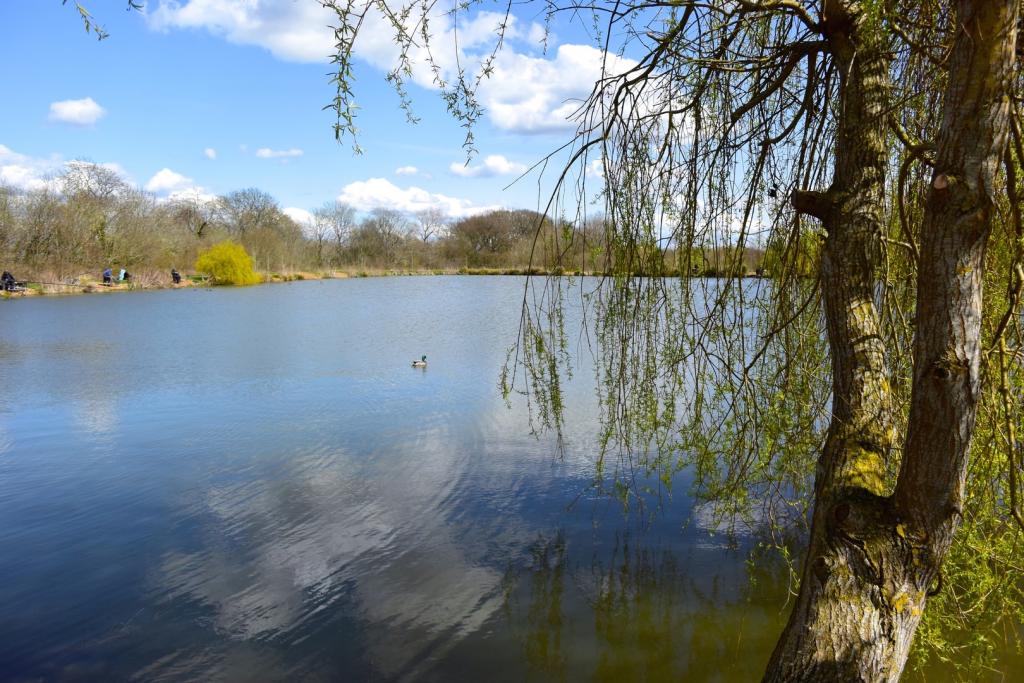 Hartley Lands Farm Fishery