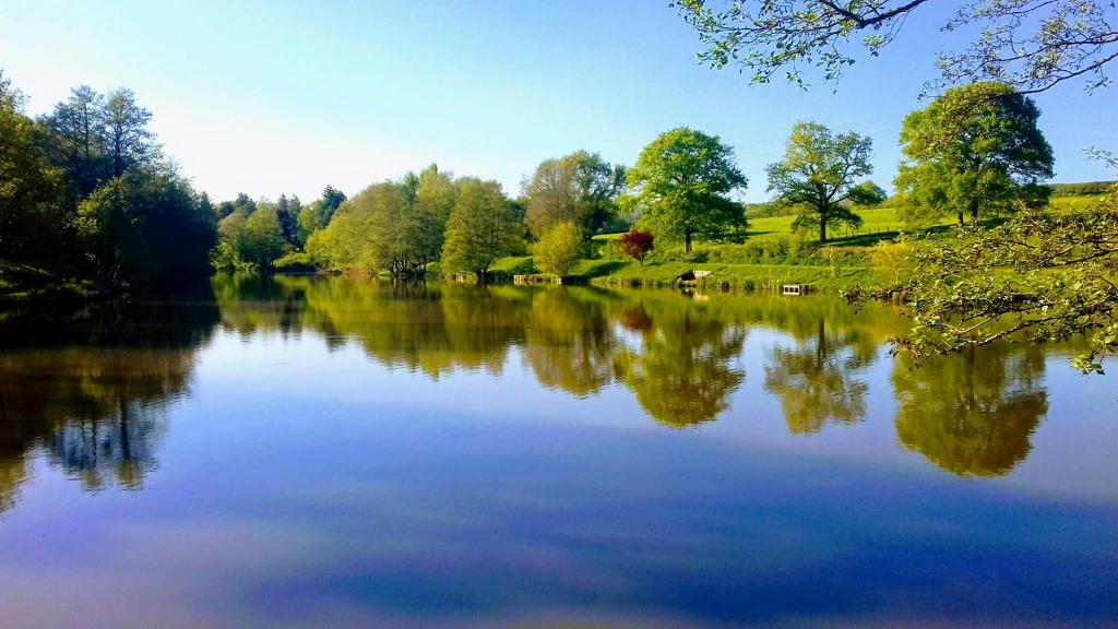 Furnace Brook Fishery & Tench Fish Farm