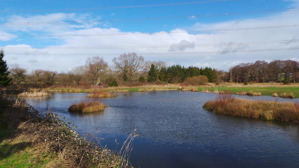 Headlands Farm Fishery