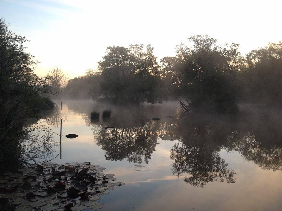 More House Farm Fishery