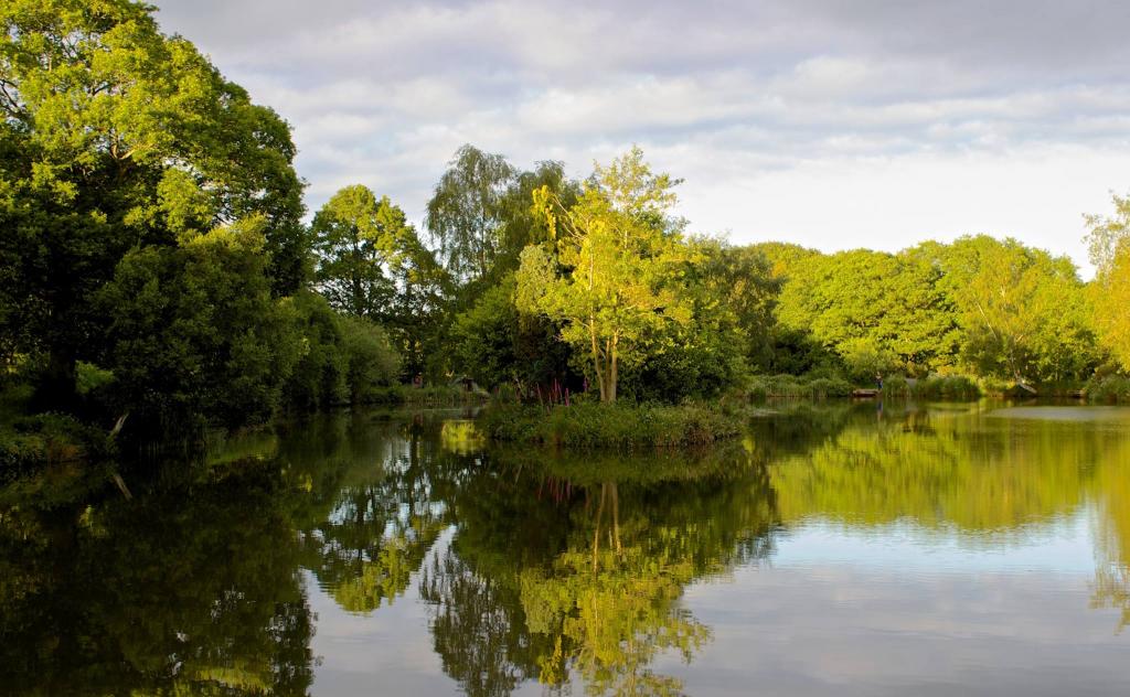 Wylands Angling Centre