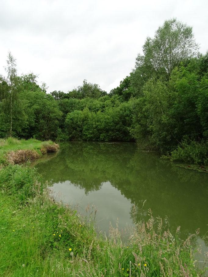 Ashmoor Lakes