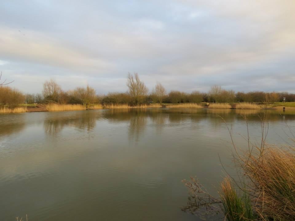 Sawtry Greenfields Fishing Lake