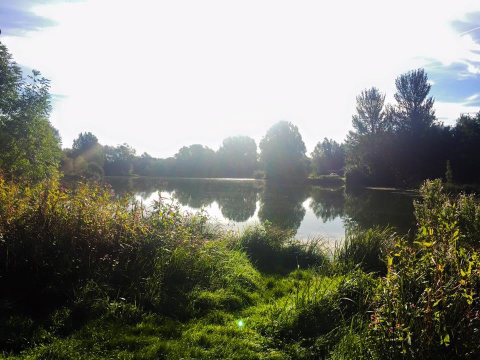 Churn Pool Carp Fishery