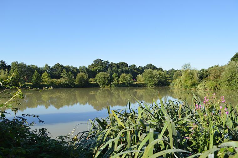 Orchard Place Farm Fishing Lakes