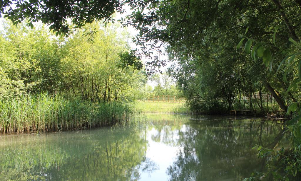 Willow Fisheries