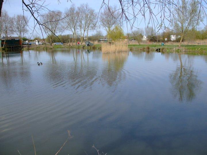 Summerhayes Fisheries