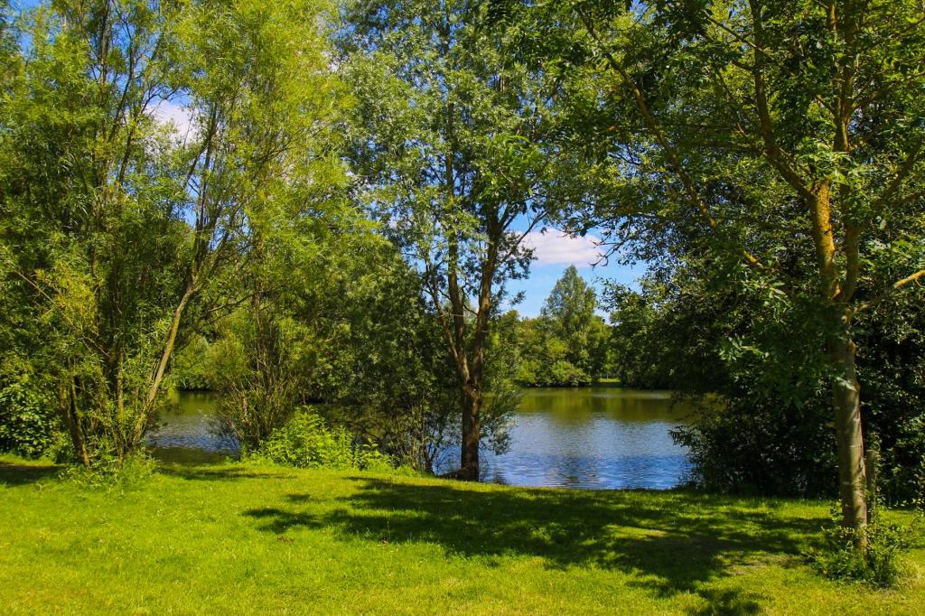 Blasford Hill Fishery