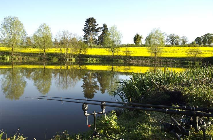 Evesbatch Old Lake Carp Fishing