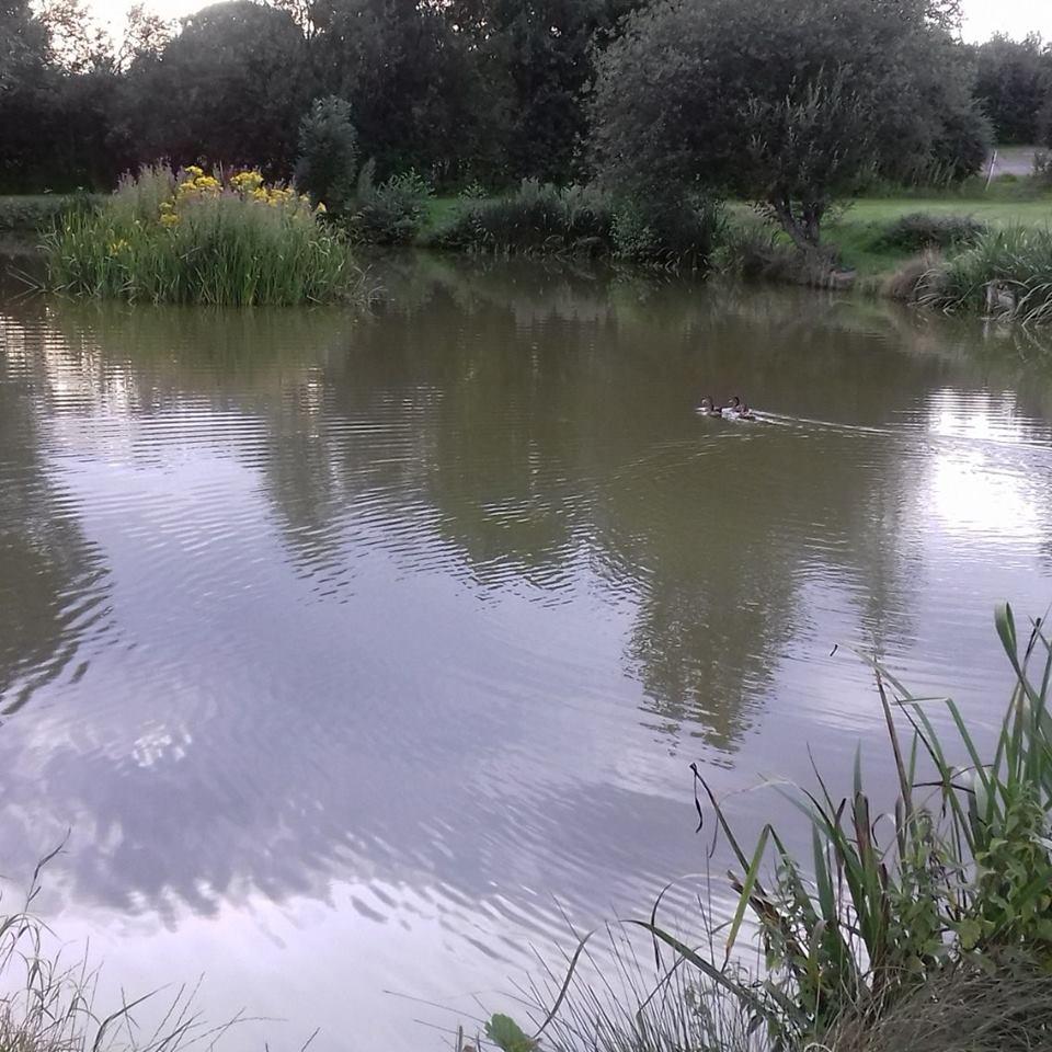 Izaak Walton Fishery