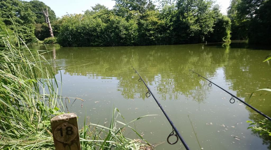 Rayne Lodge Fishery