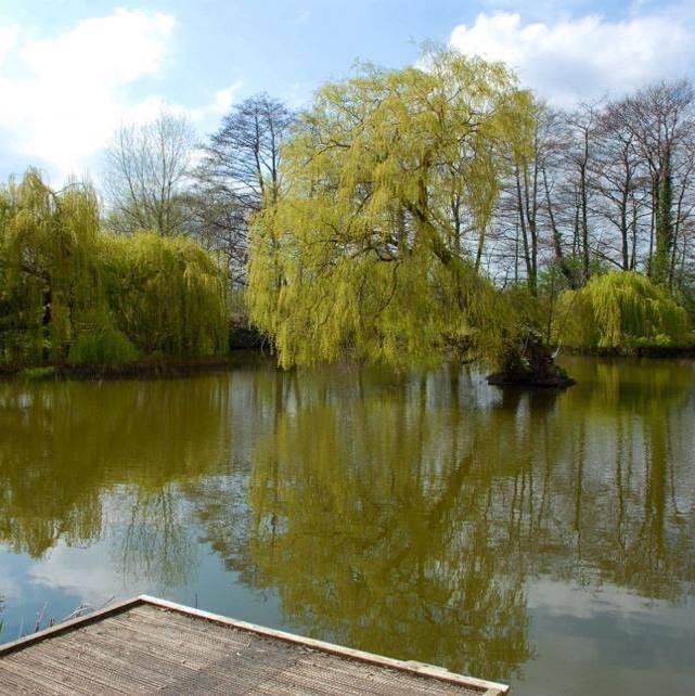 Spion Kop Fishing Lakes