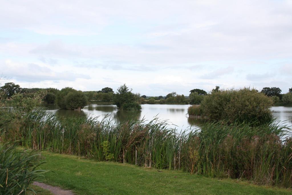 Merrington Carp Fishery