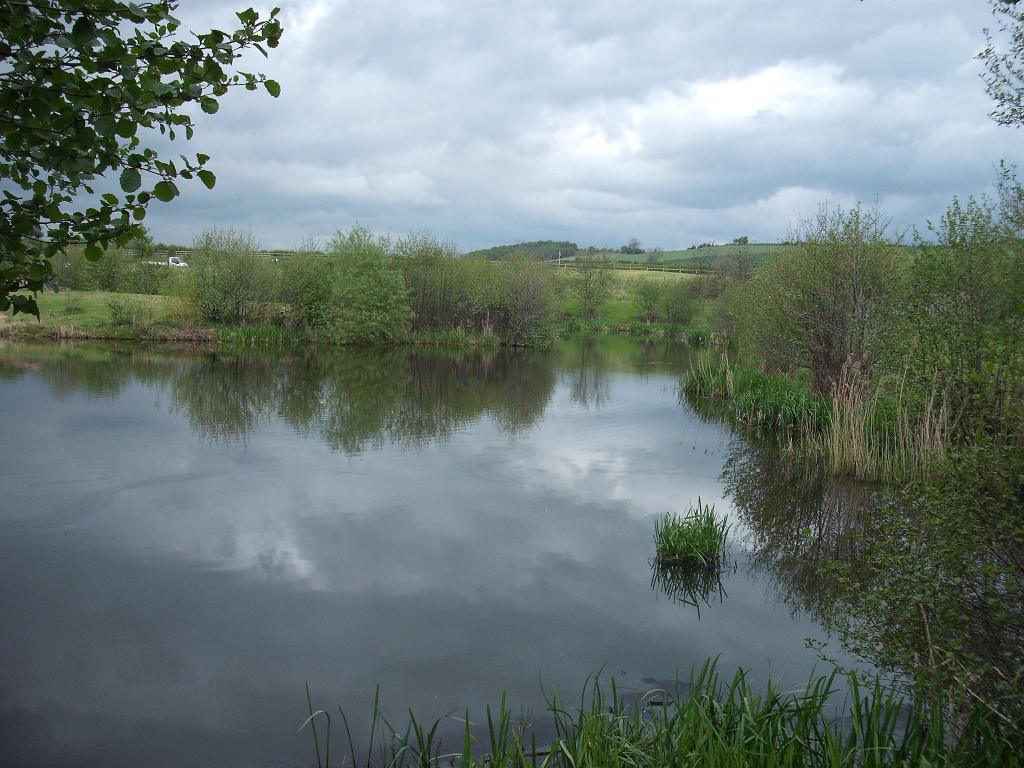 Elm Tree Farm Fishery