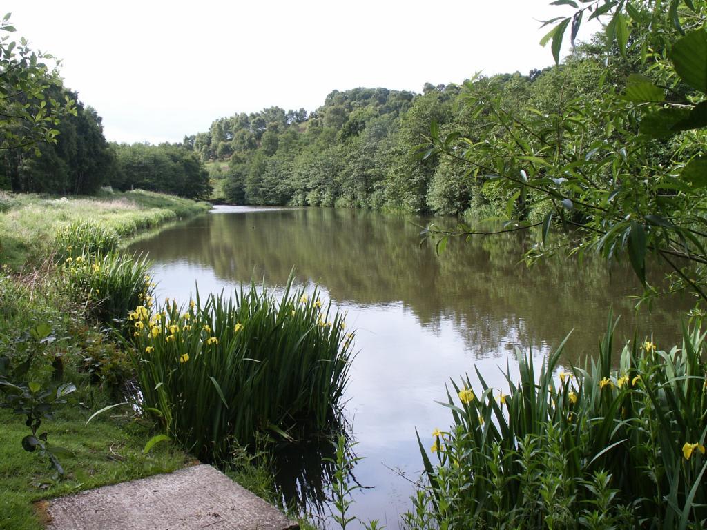 Ravenfield Ponds