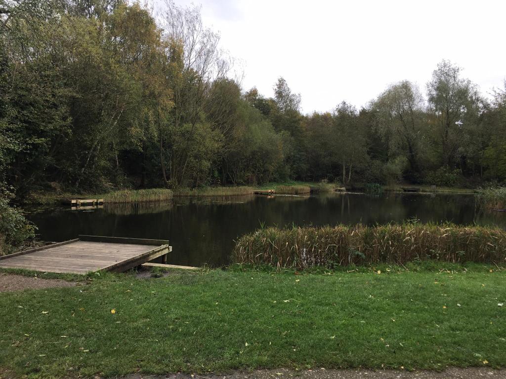 Tibshelf Ponds