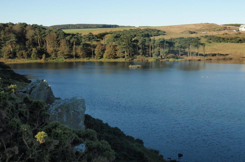 Coldingham Loch Fly Fishery & Holiday Cottages