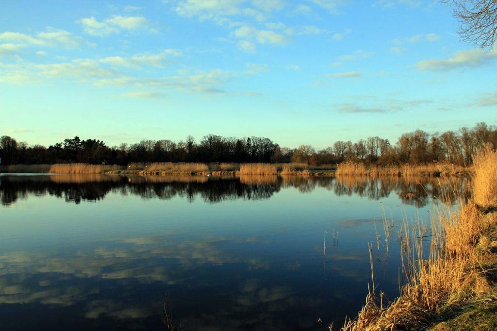 Fischerei Altfriedland