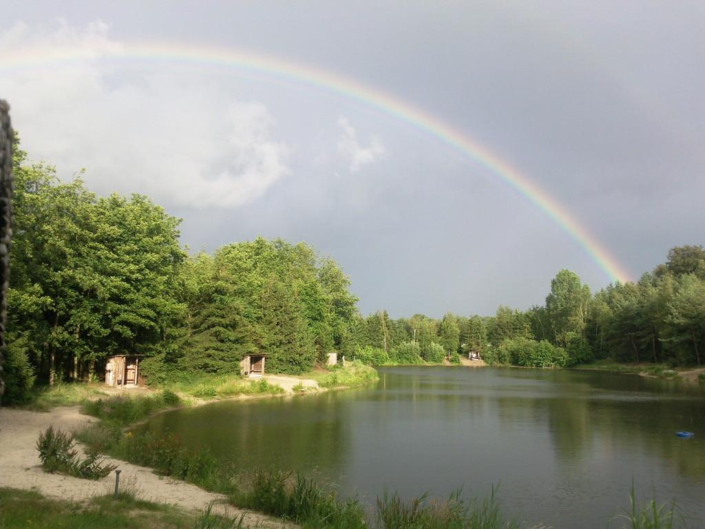 Waldsee Reken