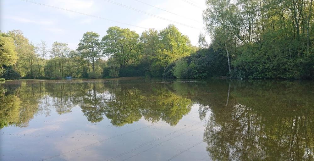 Hunters Lodge Fishery