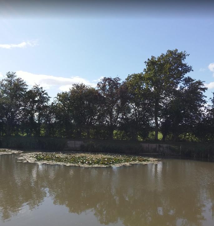 Horseshoe Fishing Pond