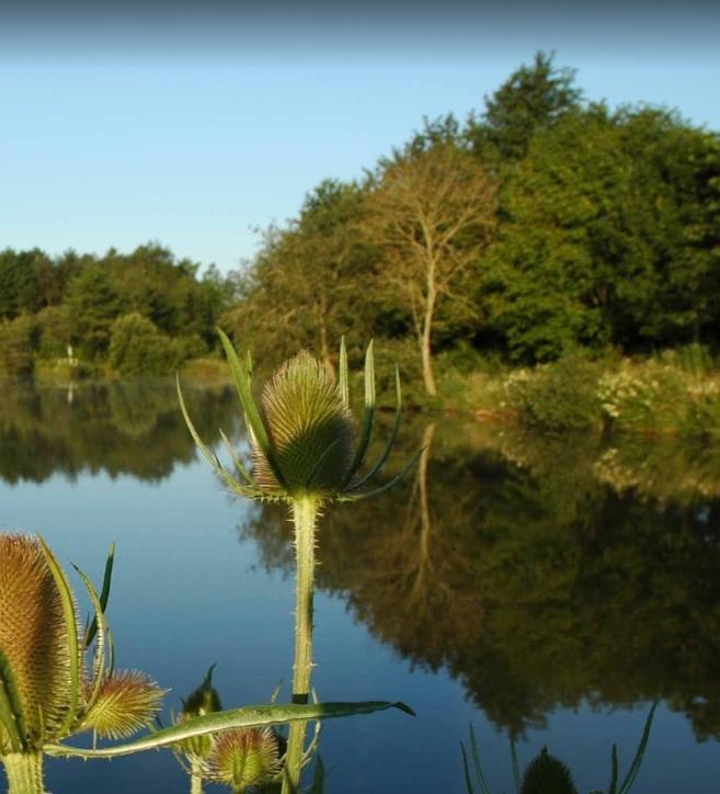 Roman Lakes Leisure Park