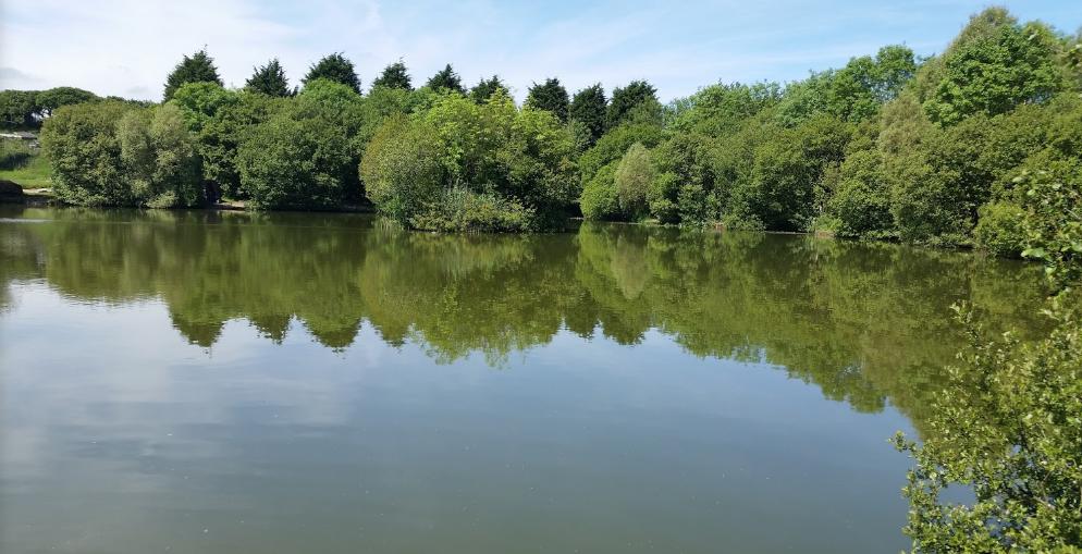 Oakside Fishery and Fish Farm