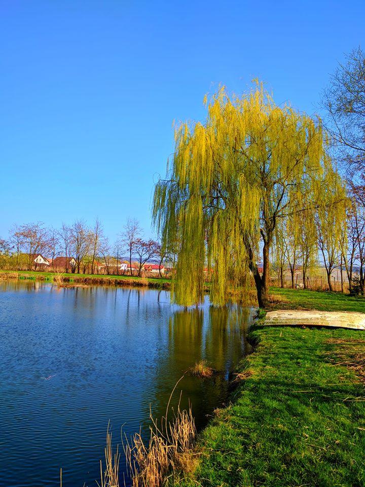 Lacul Verde