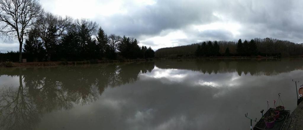 Carp in France