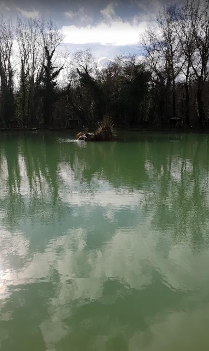 Lago Pesca Sportiva Rio D'oro